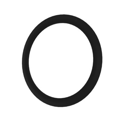 R113565: Dust Seal O-Ring John Deere part - Original