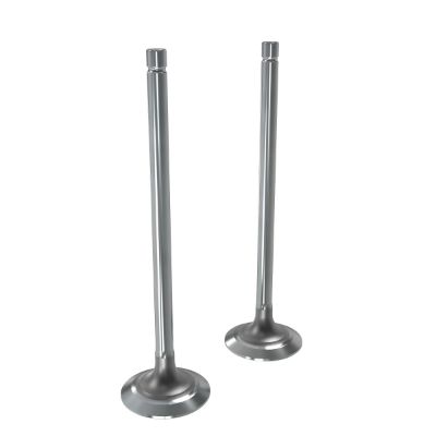 RE557891: Exhaust Valve Kit John Deere part - Original